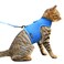 YIZHI MIAOW Cat Harness and Leash for Walking Escape Proof Breathable Mesh Fabric Solid Blue Large Adjustable Cat Walking Jackets Padded Stylish Cat Vest