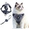 skmeditec Cat Harness and Leash Set Upgraded Escape Proof Adjustable Vest with Lead for Large Cat Small Dog Puppy Outdoor Walking Soft Breathable Mesh Jacket with Reflective Strips for Dark Night L Gr