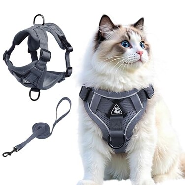 skmeditec Cat Harness and Leash Set Upgraded Escape Proof Adjustable Vest with Lead for Large Cat Small Dog Puppy Outdoor Walking Soft Breathable Mesh Jacket with Reflective Strips for Dark Night L Gr