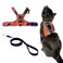 Your Cat Backpack Travel CAT The Pathfinder Cat Harness with GPS Tracker Pocket Powered by Tractive Cat Harness Escape Proof Walking Escape Proof Harness for Small Large Cat Kitten Orange Small