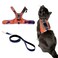 Your Cat Backpack Travel CAT The Pathfinder Cat Harness with GPS Tracker Pocket Powered by Tractive Cat Harness Escape Proof Walking Escape Proof Harness for Small Large Cat Kitten Orange Small