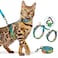 Halypet Cat Harness and Leash Set Escape Proof 3 in 1 Adjustable Lightweight Cat Harness Soft Comfortable Kitten Harness for Large Cats Safe Easy to Wear Hawaii Green Medium