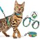 Halypet Cat Harness and Leash Set Escape Proof 3 in 1 Adjustable Lightweight Cat Harness Soft Comfortable Kitten Harness for Large Cats Safe Easy to Wear Hawaii Green Medium