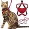 OutdoorBengal Houdini Escape Proof Kitten Harness and Leash Set by Red Small Cat Harness for Walking