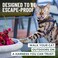 OutdoorBengal Houdini Escape Proof Kitten Harness and Leash Set by Red Small Cat Harness for Walking