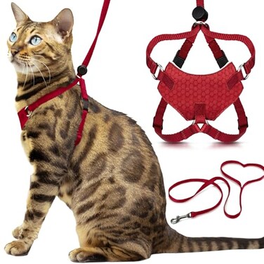 OutdoorBengal Houdini Escape Proof Kitten Harness and Leash Set by Red Small Cat Harness for Walking