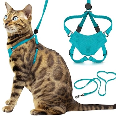 OutdoorBengal Houdini Escape Proof Kitten Harness and Leash Set by Turquoise Small Cat Harness for Walking
