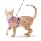 rabbitgoo Cat Harness and Leash Set Escape Proof Kitten Harness for Safe Outdoor Walks Soft Breathable Adjustable Vest with Reflective Strips for Kittens and Small Cats Pink Purple XS