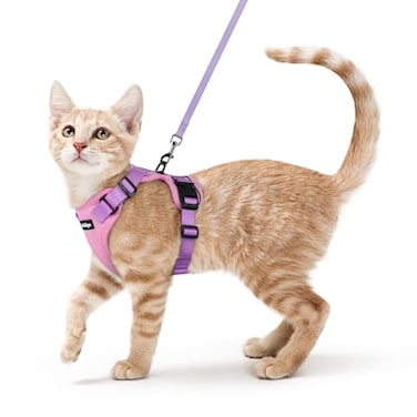 rabbitgoo Cat Harness and Leash Set Escape Proof Kitten Harness for Safe Outdoor Walks Soft Breathable Adjustable Vest with Reflective Strips for Kittens and Small Cats Pink Purple XS