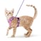 rabbitgoo Cat Harness and Leash Set Escape Proof Kitten Harness for Safe Outdoor Walks Soft Breathable Adjustable Vest with Reflective Strips for Kittens and Small Cats Pink Purple XS