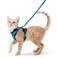 rabbitgoo Cat Harness and Leash Set Escape Proof Kitten Harness for Safe Outdoor Walks Soft Breathable Adjustable Vest with Reflective Strips for Kittens and Small Cats Teal XS