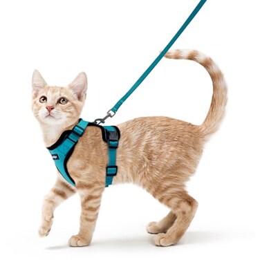 rabbitgoo Cat Harness and Leash Set Escape Proof Kitten Harness for Safe Outdoor Walks Soft Breathable Adjustable Vest with Reflective Strips for Kittens and Small Cats Teal XS