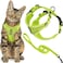 Best Pet Supplies Voyager EscapeProof Stepin Lock Cat Harness 5ft NeopreneHandle Leash Set AllWeather Mesh with Reflective Stitching for Small to Large Cats by Lime 327 XS