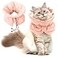 FACULX Cat Recovery Collar Soft Adjustable Cat Cone Alternative Lightweight Fasteners Collars for Cats Kittens Puppies After Stop Licking and Daily Use Orange Pink MNeck79138