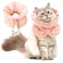 FACULX Cat Recovery Collar Soft Adjustable Cat Cone Alternative Lightweight Fasteners Collars for Cats Kittens Puppies After Stop Licking and Daily Use Orange Pink MNeck79138