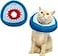 EXPAWLORER Cat Cone Collar Soft Cat Recovery E Collar After Surgery to Stop Licking Adjustable Waterproof Neck Elizabethan Pet Kitten Puppy Donut Pillow for Cats Wound Healing Blue Shark