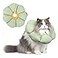 H HIDREAM Cat Cone CollarCute Waterproof Cat Recovery CollarAntiBite Lick Wound Healing Safety Elizabethan e Collar for CatsGreen Flower AllSeason Style