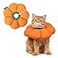 H HIDREAM Cat Cone CollarCute Waterproof Recovery CollarAntiBite Lick Wound Healing Safety Elizabethan e Collar for CatsOrange Pumpkin Cat Halloween Costume