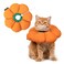 H HIDREAM Cat Cone CollarCute Waterproof Recovery CollarAntiBite Lick Wound Healing Safety Elizabethan e Collar for CatsOrange Pumpkin Cat Halloween Costume