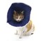 QIYADIN Soft Cat Recovery Collar Cat Cone E Collar Nonwoven Fabric Elizabethan Collar LoopsProtective Wound Healing Specially Designed for Cats and Puppies Easy to Eat and Drink M