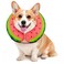 MIDOG Soft Inflatable Dog Cone Donut ECollar Alternative for After Surgery Prevents Licking Allowing Normal Eating Vision Comfortable Recovery Collar for Small Medium Large Dogs Cats RedS