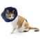 QIYADIN Soft Cat Recovery Collar Cat Cone E Collar Nonwoven Fabric Elizabethan Collar LoopsProtective Wound Healing Specially Designed for Cats and Puppies Easy to Eat and Drink S