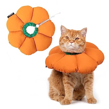 H HIDREAM Cat Cone CollarCute Waterproof Recovery CollarAntiBite Lick Wound Healing Safety Elizabethan e Collar for CatsOrange Pumpkin Cat Halloween Costume