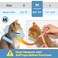 ComSaf Cat Cone Collar Soft Protective Adjustable Cat Cones to Stop Licking After Surgery Comfortable Lightweight Elizabethan Collar for Kitten Prevent from Licking Wounds Not Block Vision
