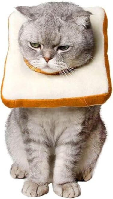 Amakunft Adjustable Cat Recovery Collar Soft Cone for PostSurgery Care Kitten Adult Cat Toast M