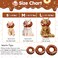 Hpetppy Cat Cone Collar Soft Cat Recovery Collar for Wound Healing Cute Cat Donut Adjustable Cat Cones to Stop Licking Comfortable Lightweight Neck Elizabethan Collars for Cats Kittens After Surgery