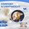 GoGoPaw Cat Cone Collar Soft to Stop Licking Adjustable Foldable Lightweight Kitten Cones After Surgery Recovery for Cats Kittens Cat Cone Alternative Easy Eating Grey S