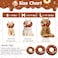 Hpetppy Cat Cone Collar Soft Cat Recovery Collar for Wound Healing Cute Donut Adjustable Kittens Cones to Stop Licking Comfortable Lightweight Neck Elizabethan Collars for Cats Kittens After Surgery