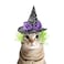 LESYPET Cat Halloween Costume Hat Dog Hat Wizard Hat with Green Wig for Dog Cat Cosplay for Halloween Christmas Party