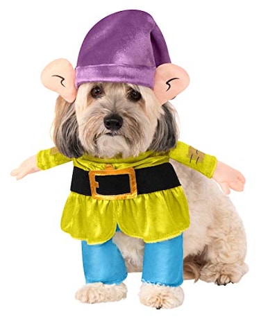 Rubies Disney Snow White and the Seven Dwarves Dopey Pet Costume for For Dogs or Cats Medium