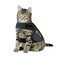 Thundershirt Classic Cat Anxiety Jacket Heather Gray Medium 9 to 13 lbs THU009