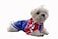 Louie de Coton Sun Shirt for Dogs Cats Size XL UV Protection Cooling TShirt for Pets UPF50 Max Protection from Sunburn Leash Hole Machine Washable Made in USA