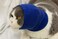 FDANDADE Cat Hematoma Ear WrapCat Ear Wrap Anxiety Relief Noise Canceling for Fireworks Thunderstorms Pet Grooming Force Drying Blue S