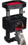 BEWISHOME Cat Tree Tower for Indoor Gothic Cat Trees with Coffin Bed Cat Condo Cat House with Scratching Posts Cat Shelves with Spider Toy Pet Play Activity Center Black with Red MMJ95R