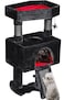 BEWISHOME Cat Tree Tower for Indoor Gothic Cat Trees with Coffin Bed Cat Condo Cat House with Scratching Posts Cat Shelves with Spider Toy Pet Play Activity Center Black with Red MMJ95R