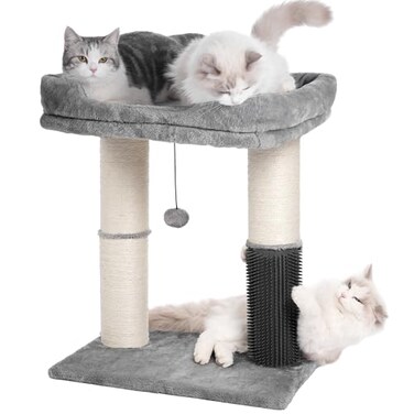 Pawfessor Cat Tree Tower for Large Cats Cat Scratching Post with 20x157Wide Top Bed Self Groomer Thick Scratch Post Dia45 and Danging Ball Great for Indoor CatsLarge Grey