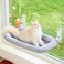 Zakkart Foldable Cat Hammock for Window Cordless Embeded Machine Washable Bed Robust Metal Frame Cat Window Perch for Large Cats and Kittens Gray Bolster Bed Large