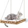 SETVSON Cat Window Perch Cat Window Hammock Bed for Indoor Cats Large Handwoven PE Rattan Window Seat 4 Suction Cups Double Sided Washable Cushion Bed 23 Inch Fence Shelf for Pet Kittens Natural