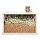 Niteangel Visible Hamster Digging Box for Syrian Dwarf Roborovski Campbell Hamsters Gerbils Mice Lemmings Degus or Other SmallSized Pets Burlywood