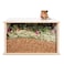 Niteangel Visible Hamster Digging Box for Syrian Dwarf Roborovski Campbell Hamsters Gerbils Mice Lemmings Degus or Other SmallSized Pets Burlywood
