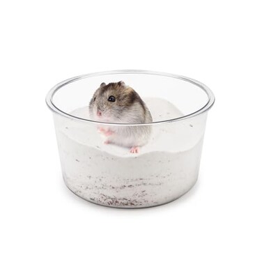 Wontee Hamster Sand Bath Sand Box Container Digging Hamster Bathroom for Hamsters Mice Syrian Hamsters Gerbils Small Animals Circle 63 x 35