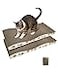 TIMHAKA Cat Scratching Board Corrugate Cat Scratcher for Indoor Cats with Catnip Cat Scratch Pad with Premium Scratch Textures Design Cardboard Cat Scratcher with DoubleSided Usability Pack of 2