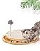 LMUGOOS Cat Scratcher Cat Natural Sisal Scratching Pad Kitten Interactive Toy with Ball Track Spring Ball for Chasing Hunting Mental Physical Exercise Puzzle