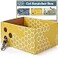 5609PETS Cat Scratching Box Extra Large Refillable DoubleSided Scratch Pad NoMess Cat Scratcher for Indoor Cats