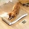 Coching Cat Scratcher Durable Scratch Pad Corrugated Cardboard Scratching Board for Indoor Cats Heavy Duty DoubleSided Usability Recyclable with Catnip Medium 1 Pack