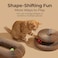Dosanlues Magic Organ Cat Scratcher Board with 2 Bell Ball Cat Ball Adventure The Ultimate Interactive Mental Physical Exercise for Indoor Cats Toy